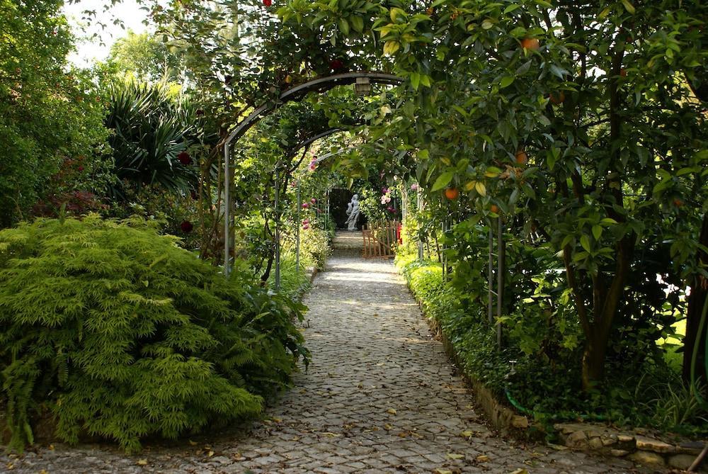 Quinta De Sao Lourenco Anadia Exteriér fotografie