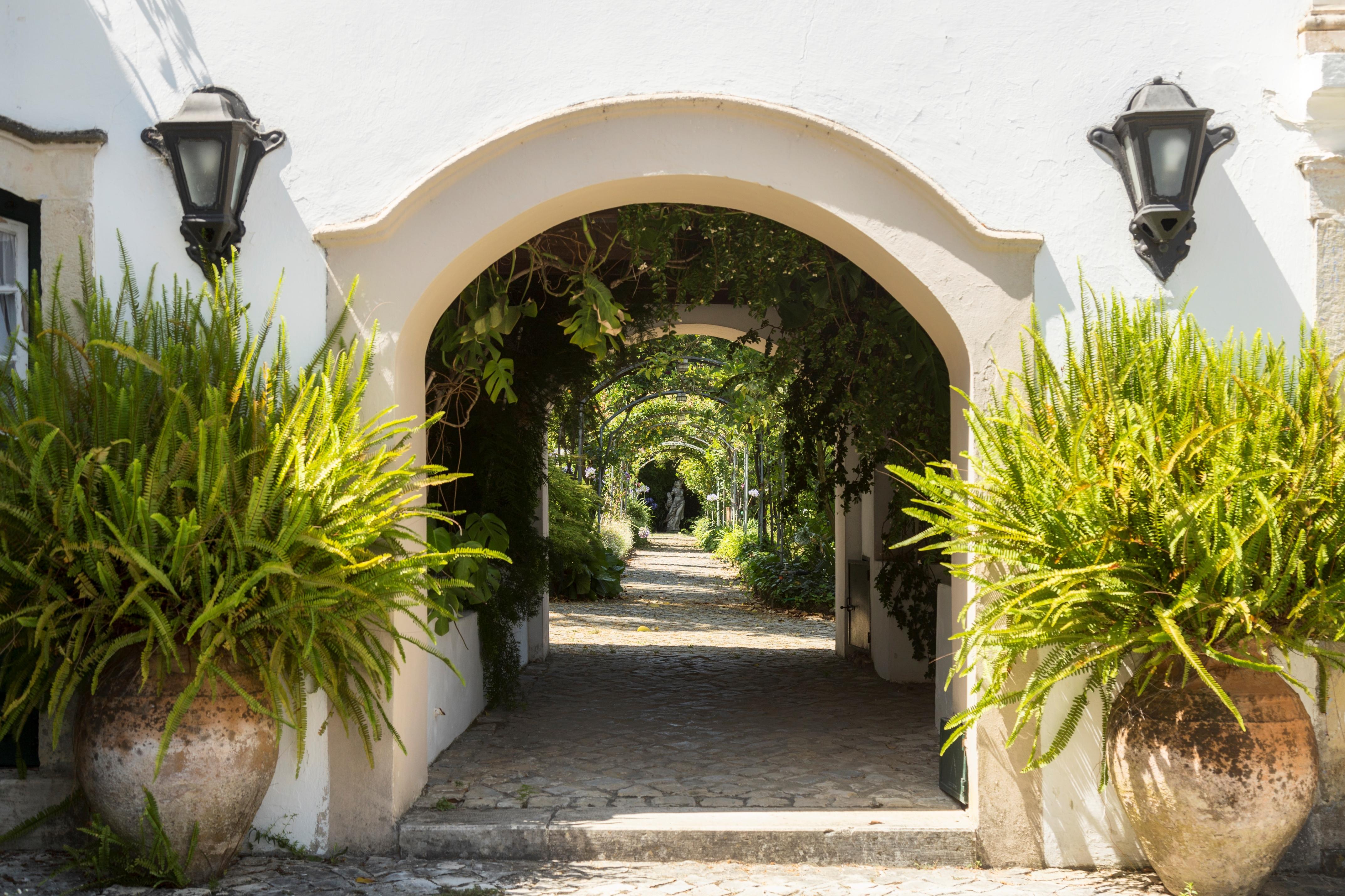 Quinta De Sao Lourenco Anadia Exteriér fotografie