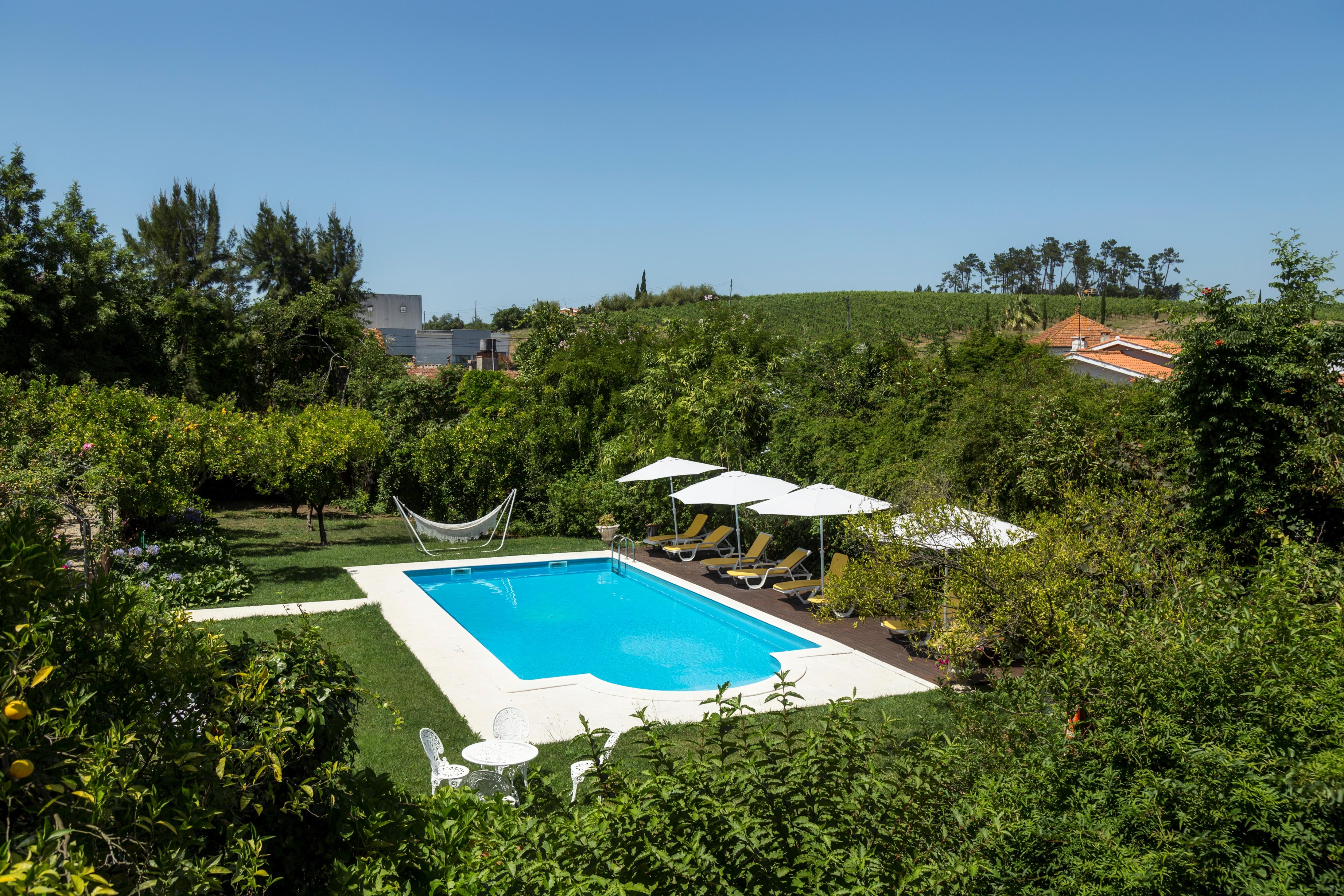 Quinta De Sao Lourenco Anadia Exteriér fotografie