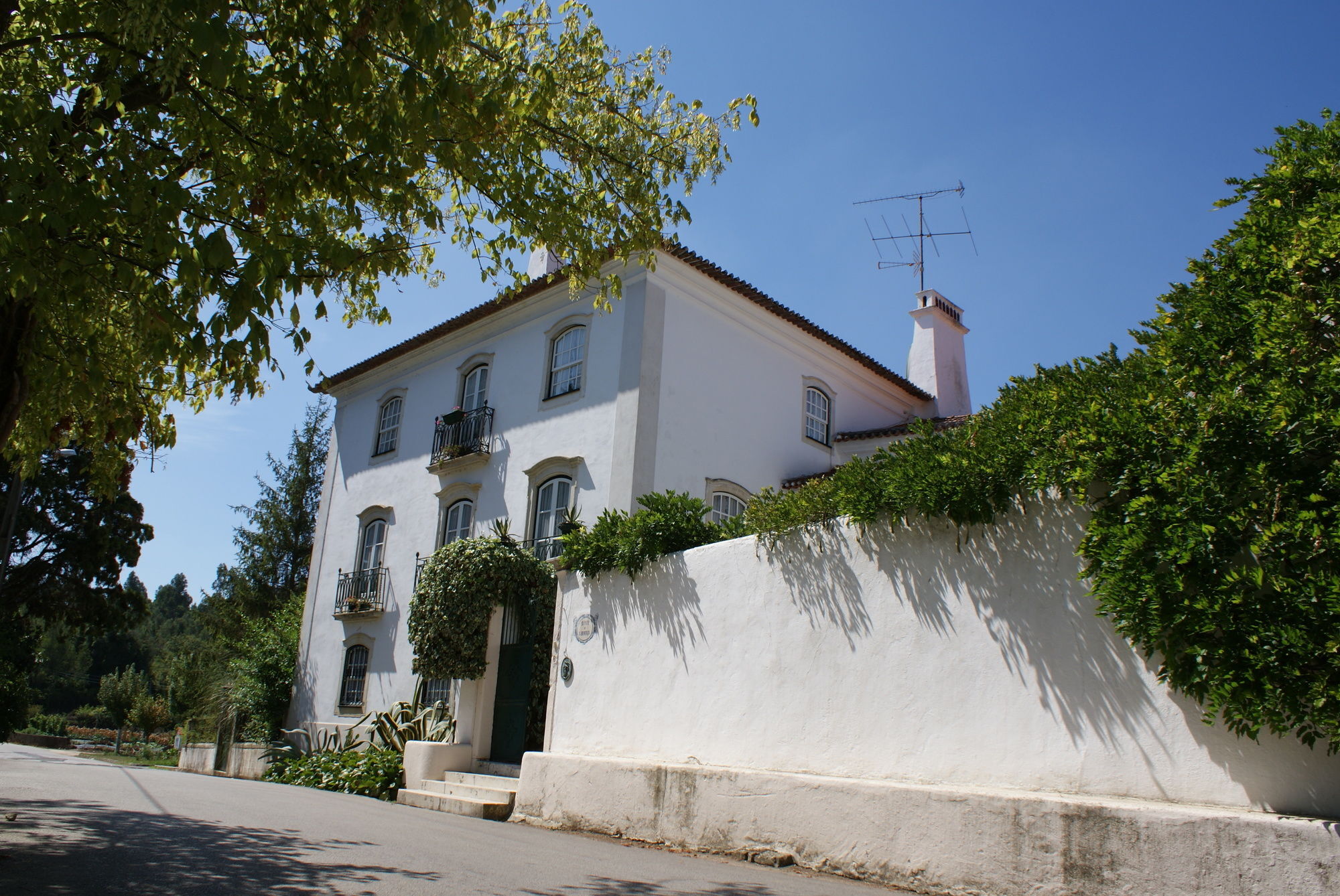 Quinta De Sao Lourenco Anadia Exteriér fotografie