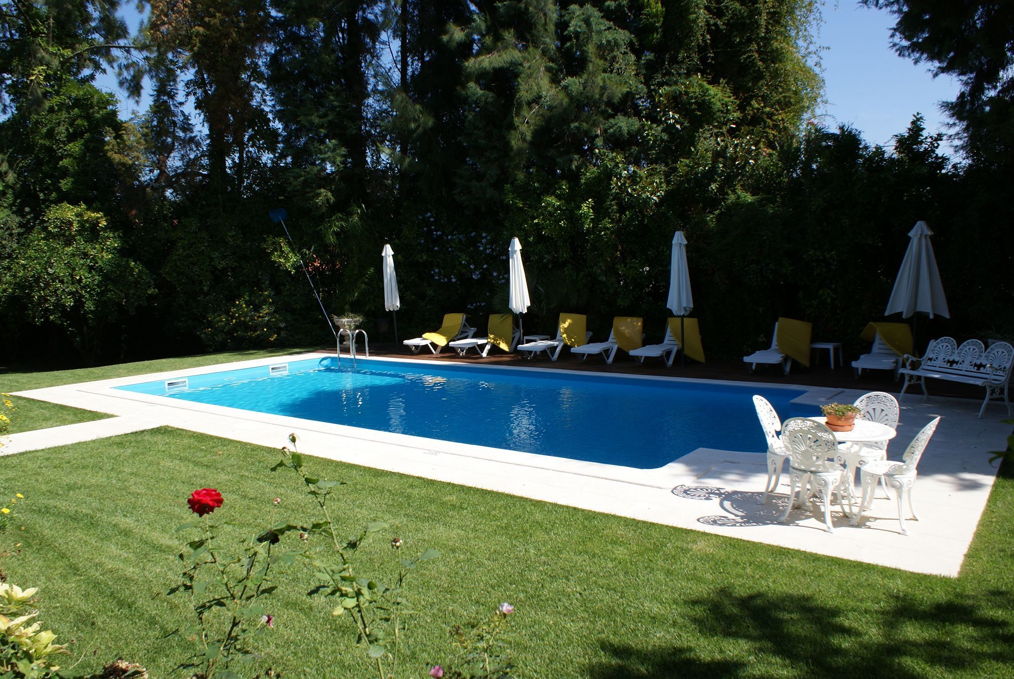 Quinta De Sao Lourenco Anadia Exteriér fotografie