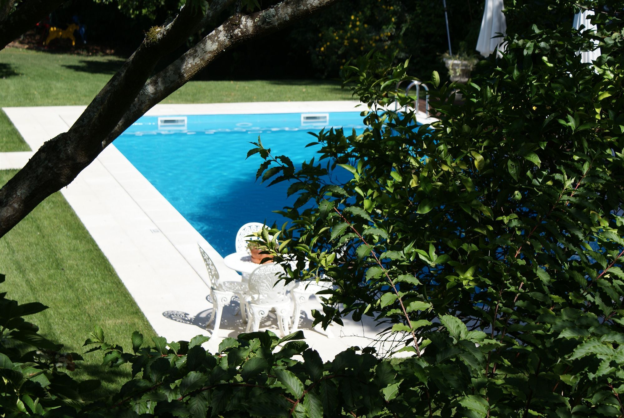 Quinta De Sao Lourenco Anadia Exteriér fotografie